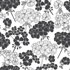 Monochrome vector pattern with flowers geranium.