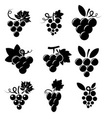 vector black and white icons of grapes