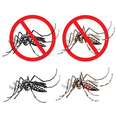 Isolated Mosquito Editable Under The Red Circle. Zika Virus. Outbreak Alert Concept. Against Virus From A.Aegypti Mosquito. Zika Virus Warning Sign. Mosquito Vector Set. Dengue Fever.