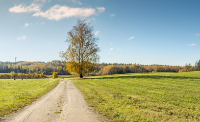 Fototapeta na wymiar Countryside road in autumn, Europe