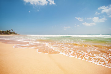 beautiful landscape with sandy ocean beach in waves, blue cloudy