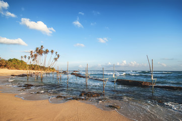 Fototapeta na wymiar ocean beach on sunset with row palms on horizon