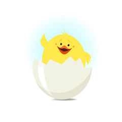 Newborn chick sitting in the shell. Vector illustration