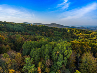 Fototapeta na wymiar Autumn scenery of the mountain forest.