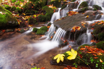 autumn landscape. colorful trees and beautiful waterfall in deep  gold forest