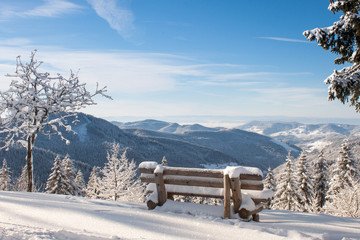 Schwarzwald im Winter - obrazy, fototapety, plakaty