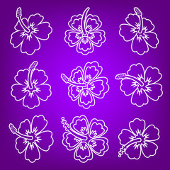 White vector hibiscus flower outline icons