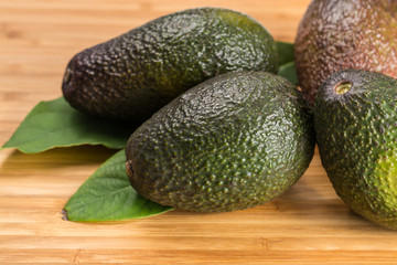 Green fresh avocado with leaves