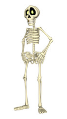 3D Rendering Human Skeleton on White