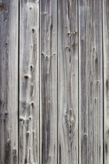 Grunge wood fence with knots