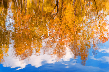 Yellow and orange autumn leaves reflecting in the water. Abstract blurred natural background