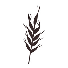 ears of wheat barley icon over white background. vector illustration