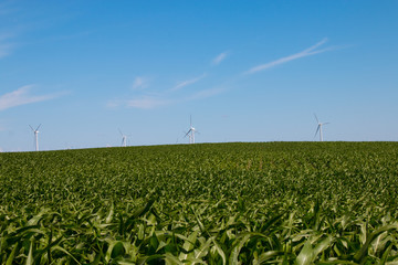 Blue Sky Wind Turbine