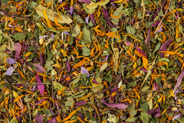 Dried herbal tea leaves