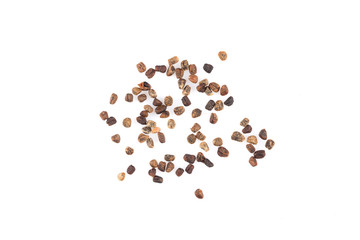 Decorticated cardamom seeds