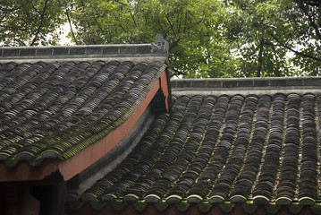 Temple Roofs Baoguang Si Shining Treasure Buddhist Temple Chengd