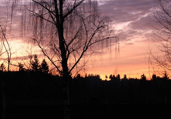 december sunset 2011