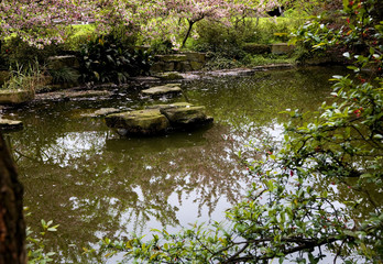 Temple Pond Reflection Cherry Blossoms Temple, Sichuan, China