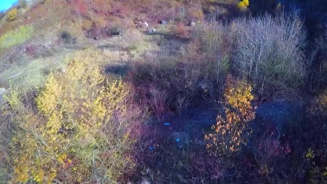 Bird's eye view of a newlyweds dancing in the field