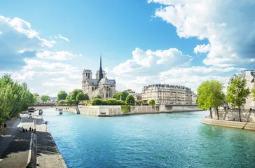 Gordijnen Notre Dame Parijs, Frankrijk © Iakov Kalinin