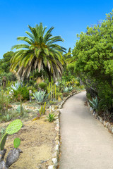 Fototapeta na wymiar Cactus garden in the Lloret de mar, Costa Brava, Catalonia, Spain