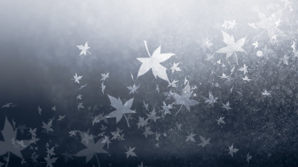 autumnal leaf of maple bokeh on night color tone.
