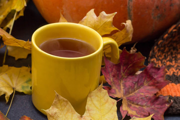 Pumpkins, scarf on wooden table with hot tea