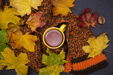 Pumpkins, scarf on wooden table with hot tea