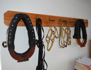 Elements of harness horses, hanging on a hanger