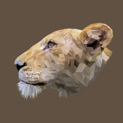 Fototapeta premium Lioness animal low poly design. Triangle vector illustration.