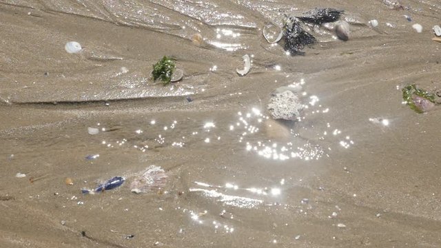Slow motion fluid moving surface on the sea beach 1080p HD footage - Water retreat as natural tide and ebb ocean effect by the day slow-mo 1920X1080 FullHD video 