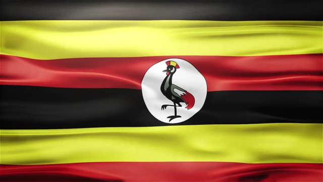 Realistic Seamless Loop Flag of Uganda Waving In The Wind With Highly Detailed Fabric Texture.