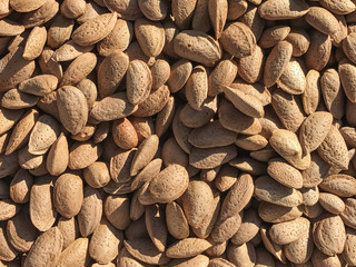 natural almond crusted new season