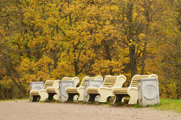 Benches designed for relaxation.