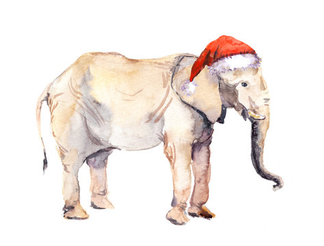 Christmas elephant in red santa's hat. Watercolor  animal