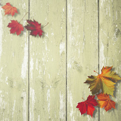 Obraz premium Simple autumnal backgrounds with maole leaf over wooden desk