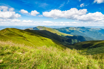 Obraz premium hillside meadow in mountain