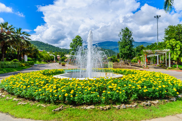 Fototapeta premium Fountain in the Marigold flower garden