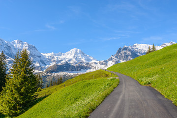 Fototapeta na wymiar Beautiful Swiss mountain valley landscape with trail.