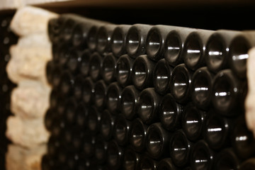 Wine bottles in winery cellar