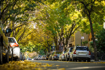 Fototapeta premium Autumn alley in the city