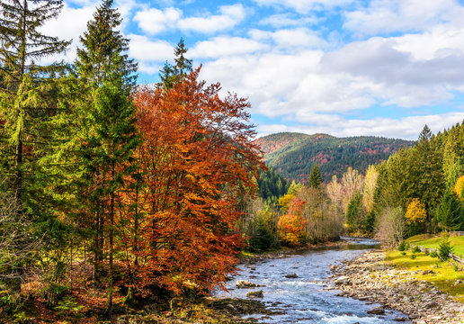 Mountain river in autumn forest