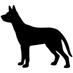 Dingo. Vector black silhouette on a white background. Illustration of dog breeds 