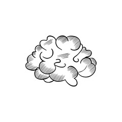 Vector black and white sketch of the brain
