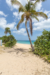 Happy Bay Beach in Saint Martin Island, French West Caribbean