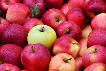Fototapeta na wymiar Fresh organic apples on street market stall