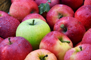 Fresh organic apples on street market stall