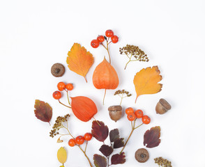 Bright yellow autumn leaves, chestnuts, pine cones and orange physalis flowers on a white background with copy space for text. Beautiful autumn frame. Top view photo