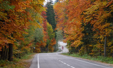 Landscape with asphalt road in the autumn forest in the mountains of the Caucasus