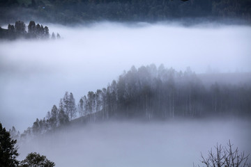 Apuseni mountains, Romania - misty autumn morning